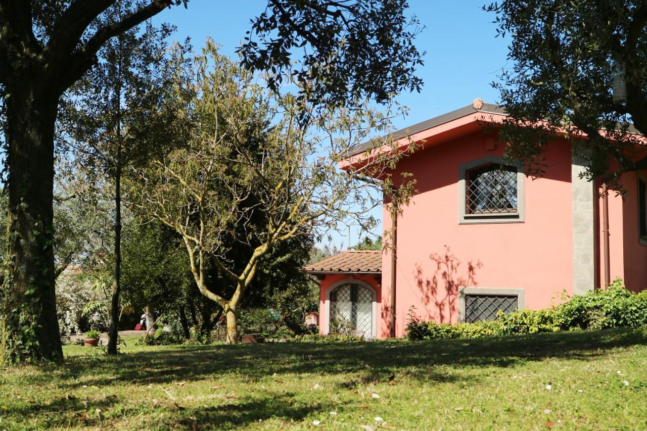 B&B Ai Glicini - Castelli Romani 마리노 외부 사진