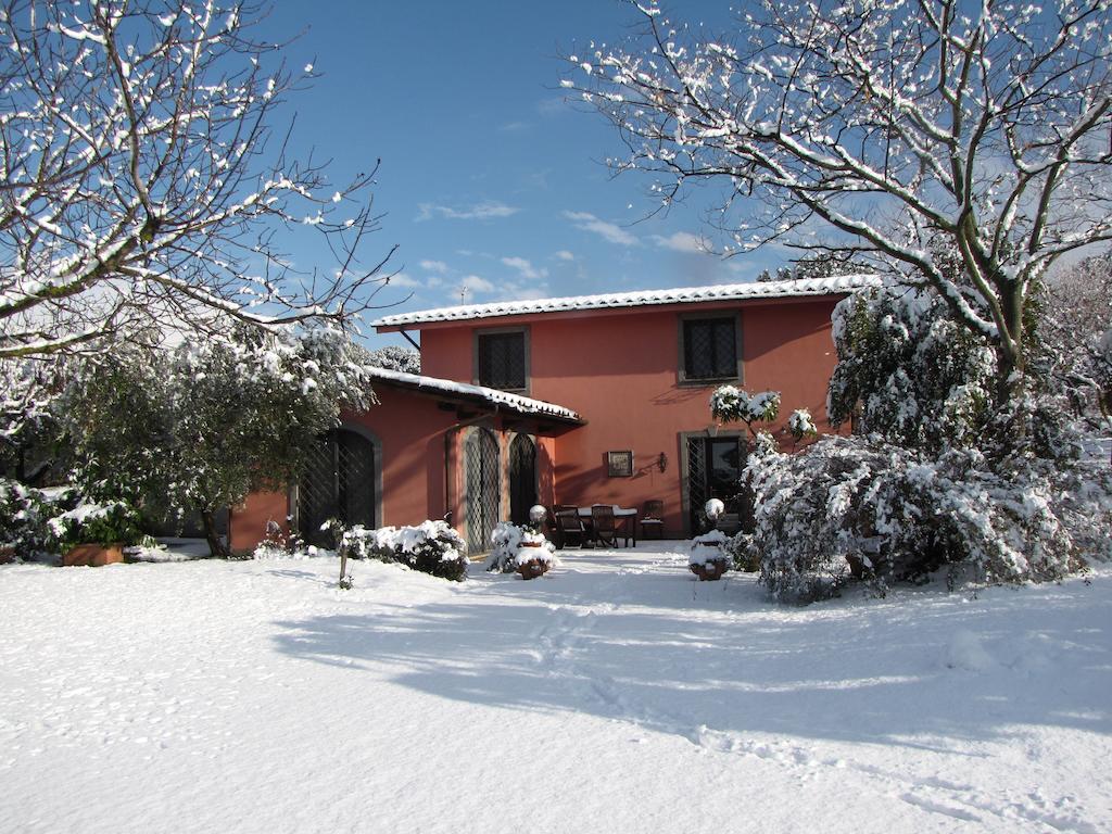 B&B Ai Glicini - Castelli Romani 마리노 외부 사진
